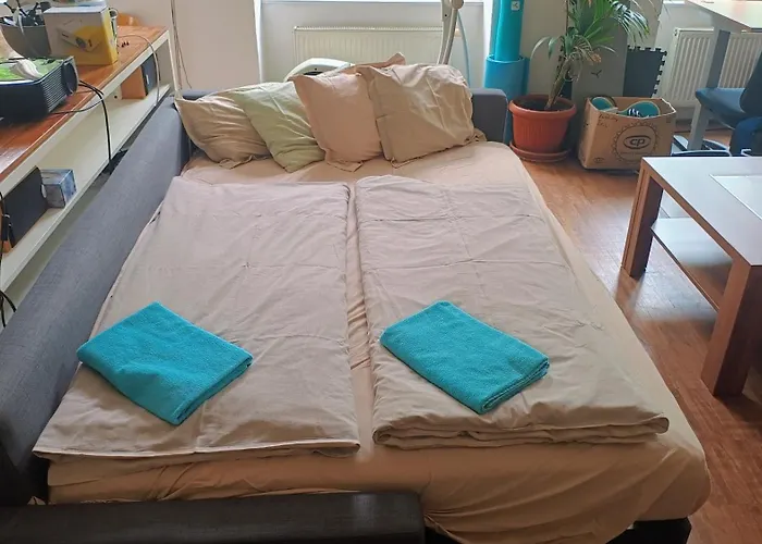 Apartament Park View - A Digital Nomad's Dream Praga
