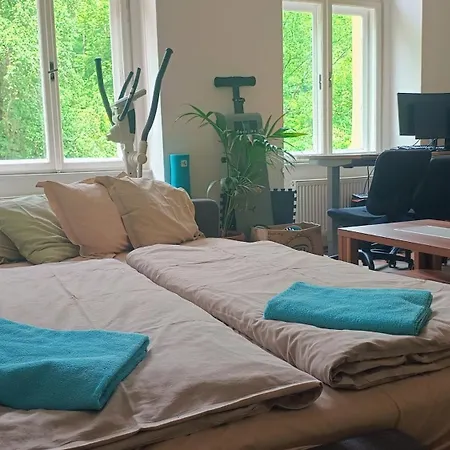 Park View - A Digital Nomad's Dream * 프라하